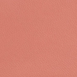 Coin Clutch