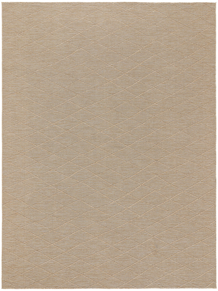 8' x 10'