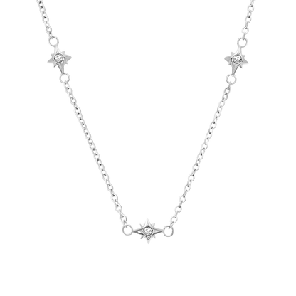 Murphys Sketches x Abbott Lyon Custom Robin Coin Necklace (Silver)