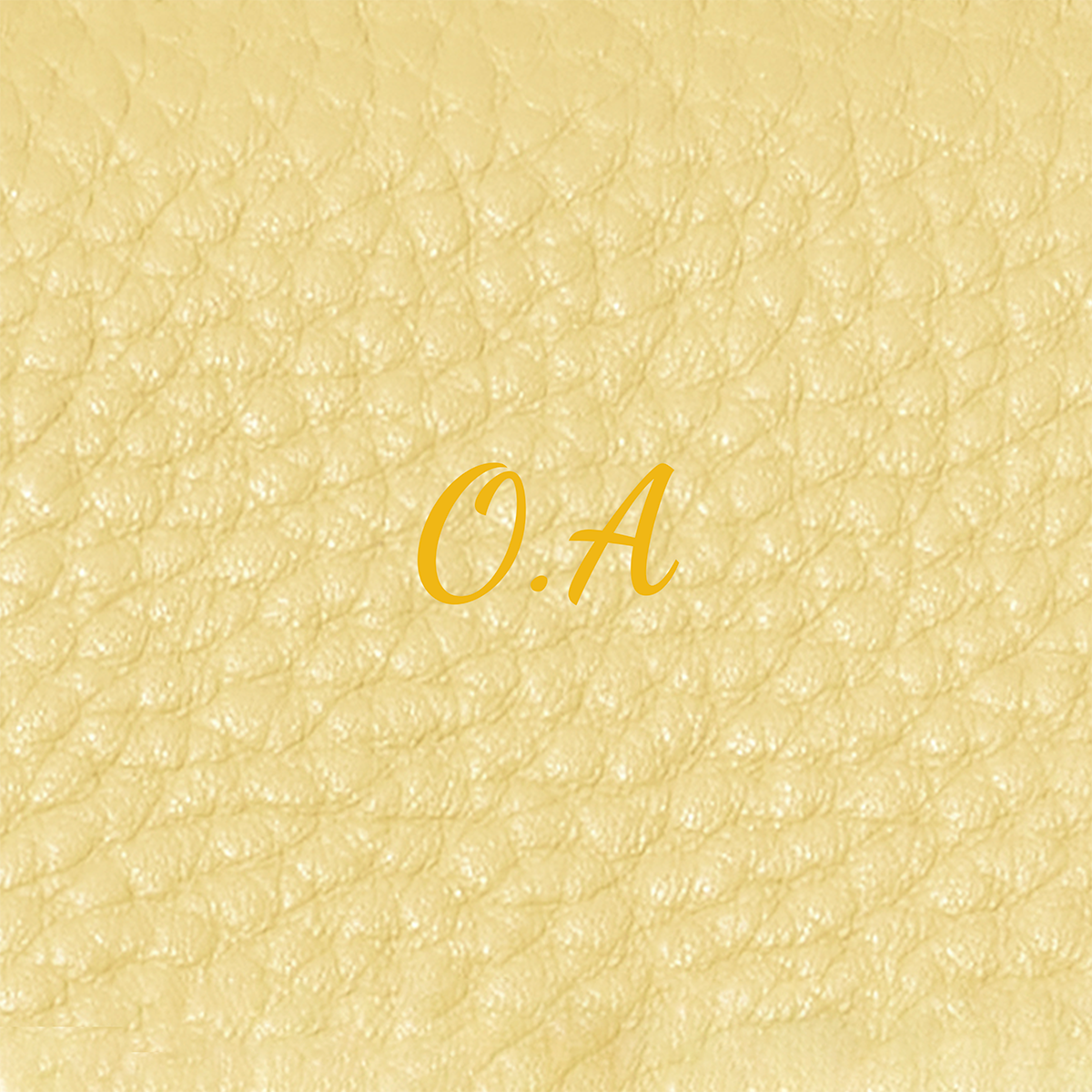 Small Vanity Cosmetic Bag (Butter Yellow)