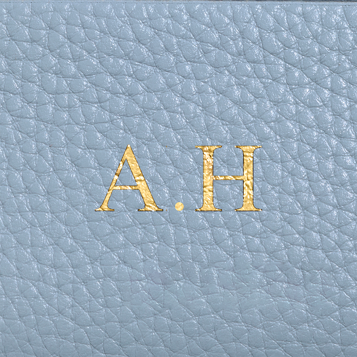 Leather Card Holder (Powder Blue)
