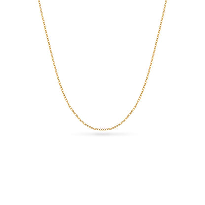 Murphys Sketches x Abbott Lyon Custom Robin Coin Necklace (Gold)