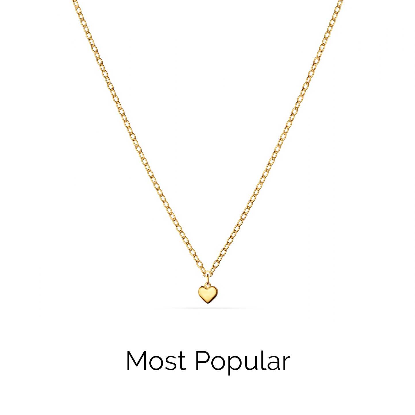 Fine Single Charm Necklace (Gold)