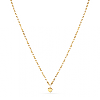 Fine Single Charm Necklace (Gold)