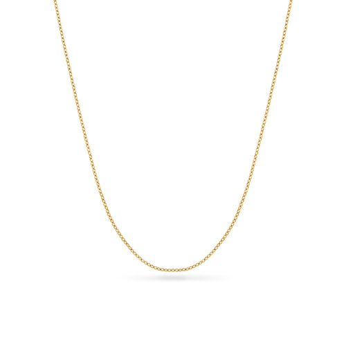 Fine Chain Necklace (Gold)