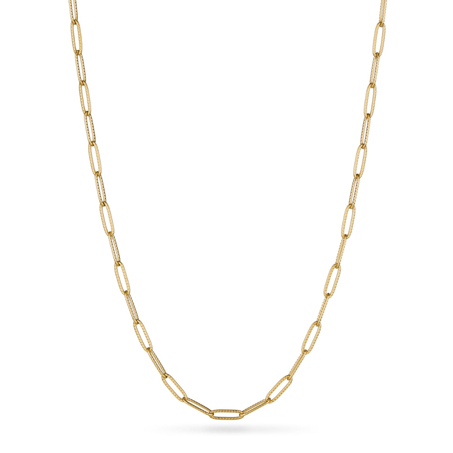 Murphys Sketches x Abbott Lyon Custom Robin Coin Necklace (Gold)