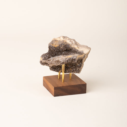 Brilliant Petrified Wood
