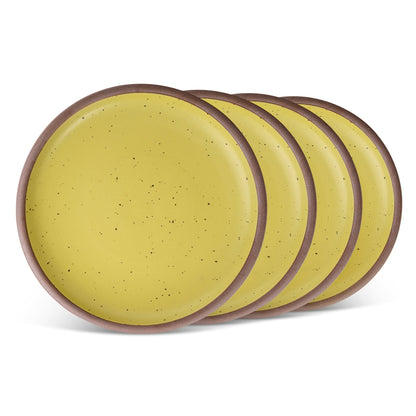 Dinner Plate 4-Pack