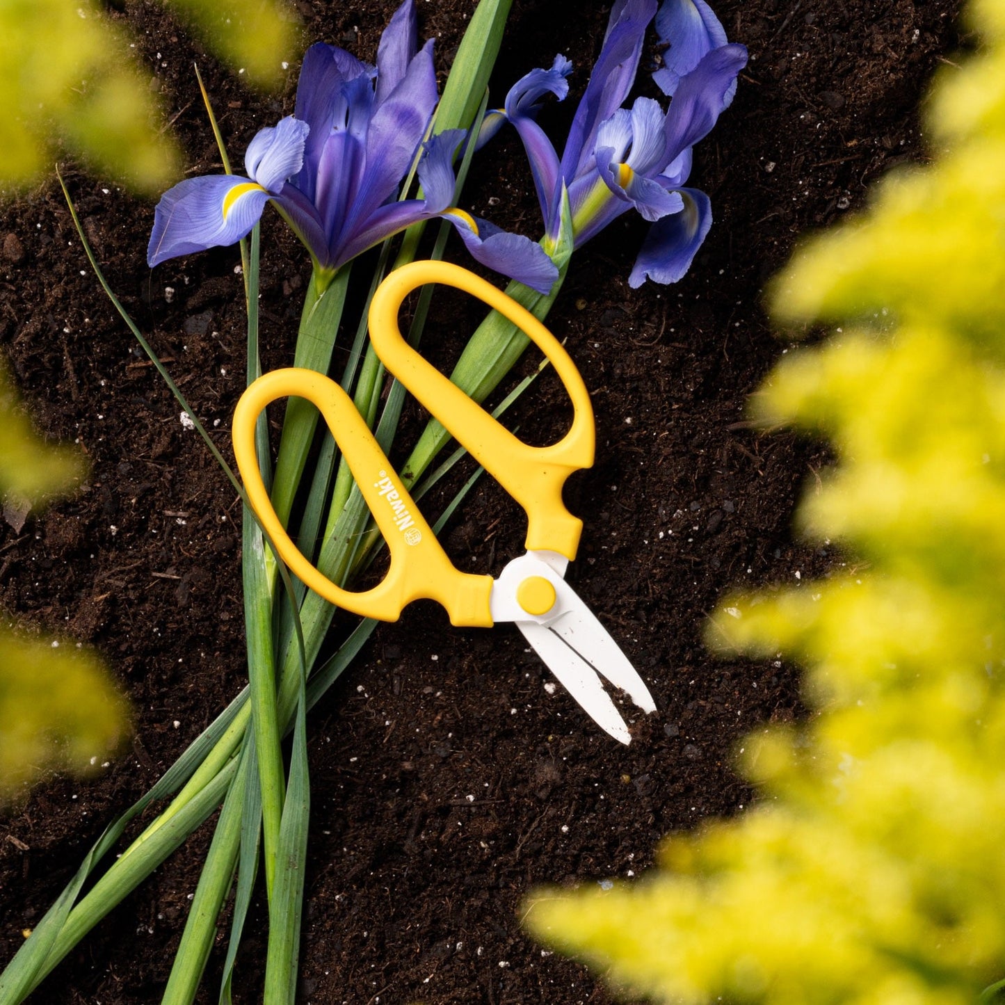 Niwaki Flower Scissors