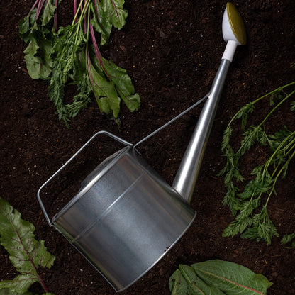 Japanese Watering Can