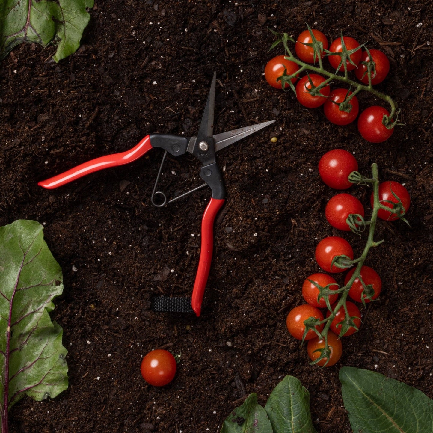 Little Garden Snips