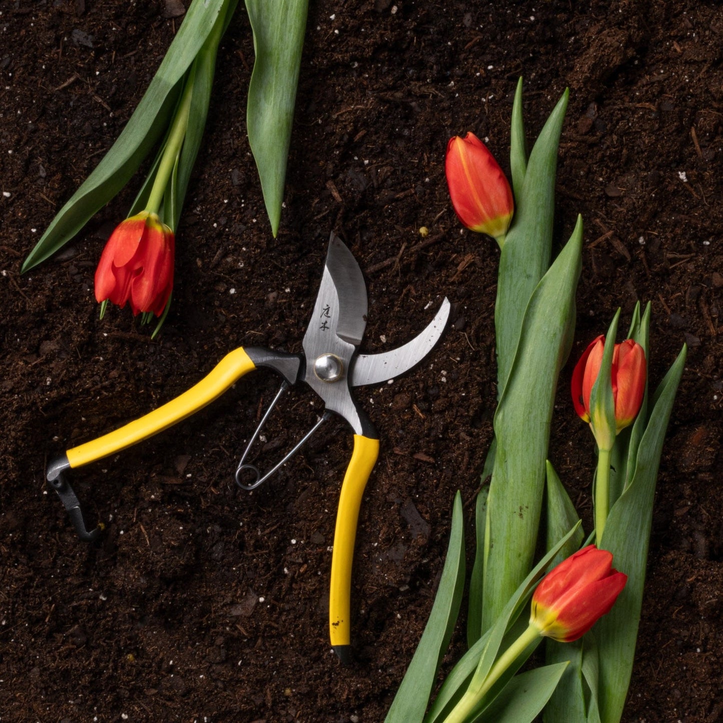 Higurashi Secateurs