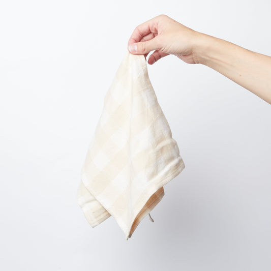 Gingham Napkin Set of 4