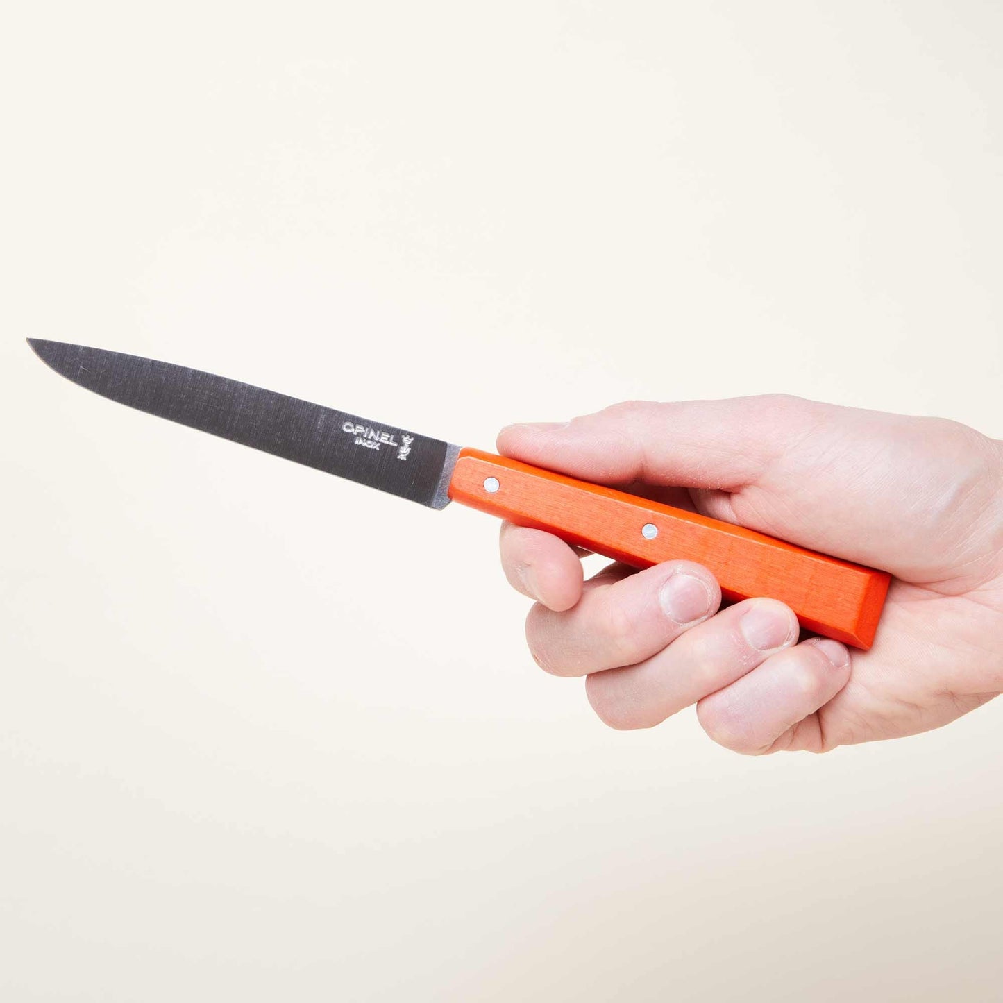 Colorful French Steak Knife