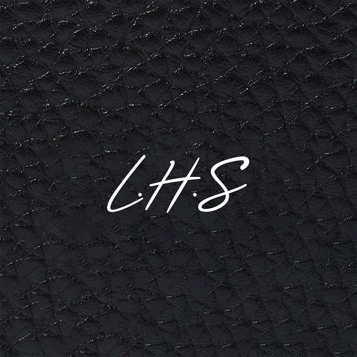 Leather Luggage Tag (Black)