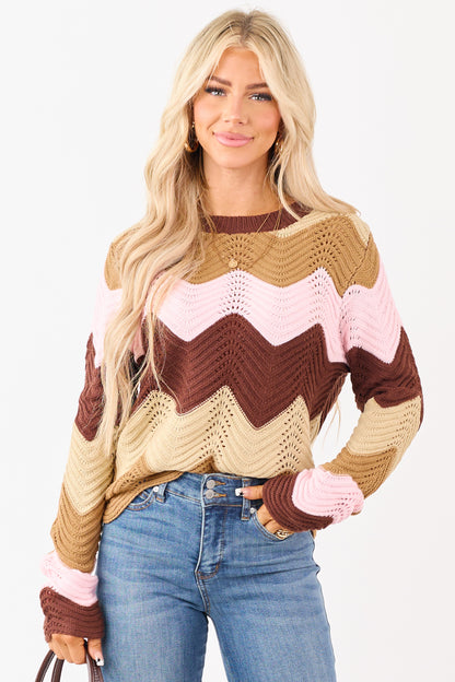 Chocolate Wavy Colorblock Stripe Pointelle Sweater
