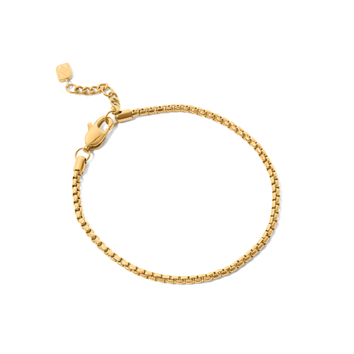 Box Chain Bracelet (Gold)