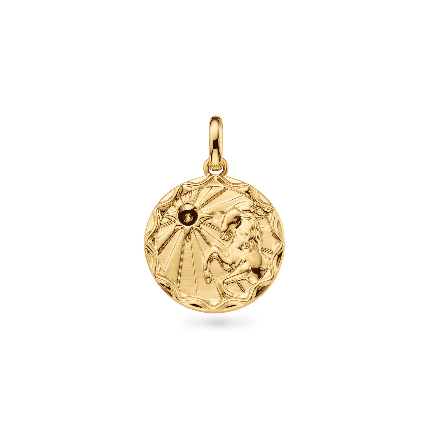 Custom Zodiac Coin Necklace (Gold)
