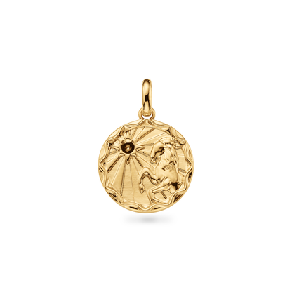 Custom Zodiac Coin Necklace (Gold)