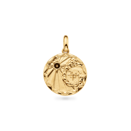 Custom Zodiac Coin Necklace (Gold)