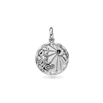 Custom Zodiac Coin Necklace (Silver)