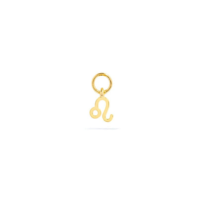 Stories Mini Zodiac Hoop Charm (Gold)
