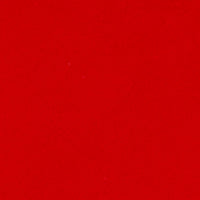 Adam's Card Case
