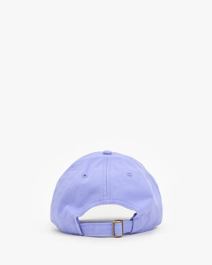 Baseball Hat back view