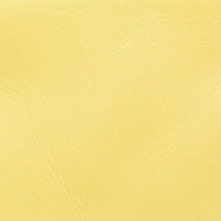 Coin Clutch