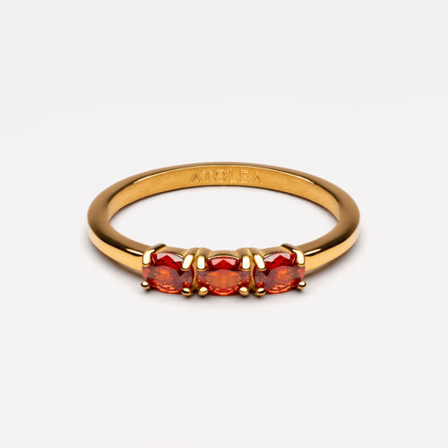 Raspberry Ring