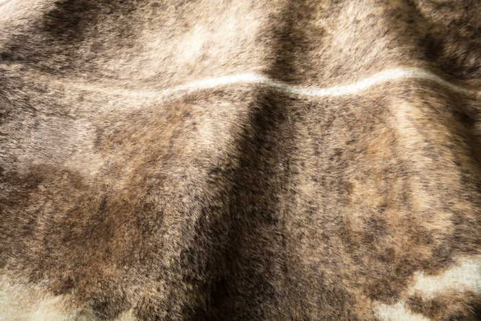 The Rug Corner Loloi II Grand Canyon Camel / Beige
