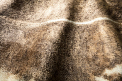 The Rug Corner Loloi II Grand Canyon Camel / Beige