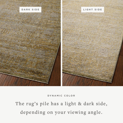 The Rug Corner Jean Stoffer x Loloi Jean Stoffer - Bradbury Dove / Gold Area Rug