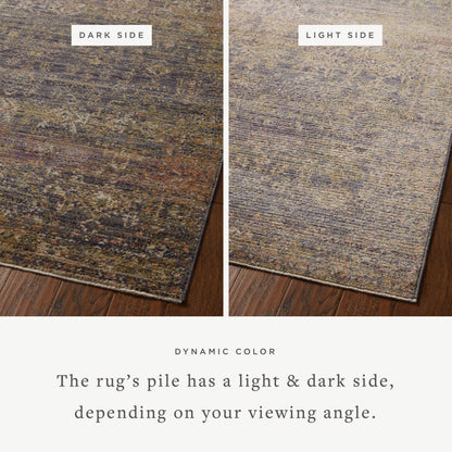 The Rug Corner Jean Stoffer x Loloi Jean Stoffer - Bradbury Ink / Multi Area Rug