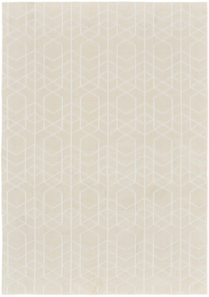 5' x 7'