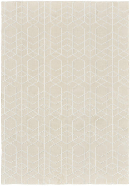 5' x 7'
