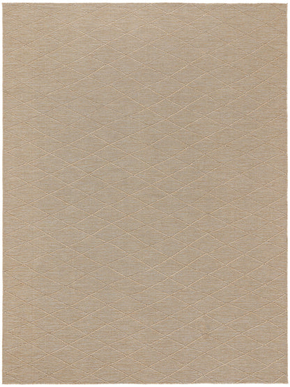 8' x 10'
