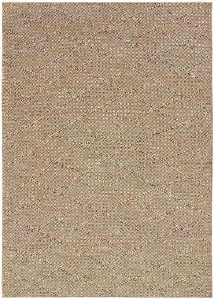 4' x 6'