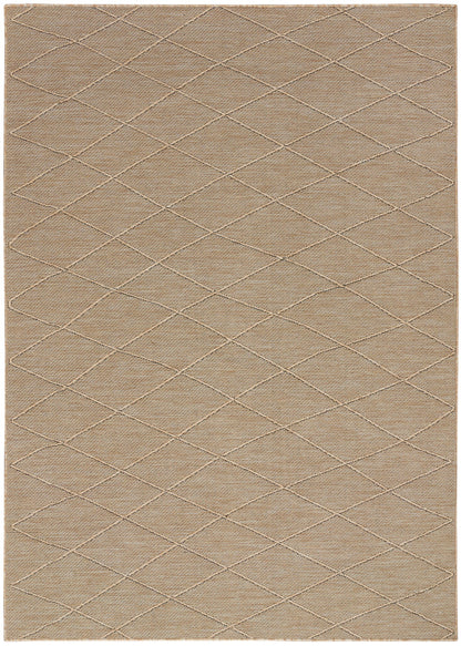 4' x 6'