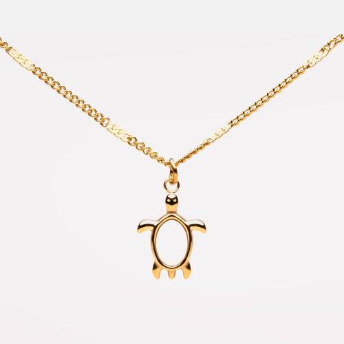 Turtle Guardian Necklace