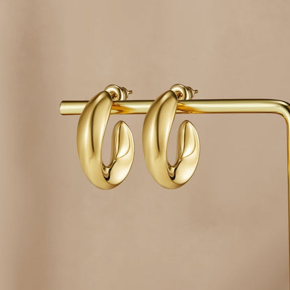 Twisted Sarah Hoop Earrings