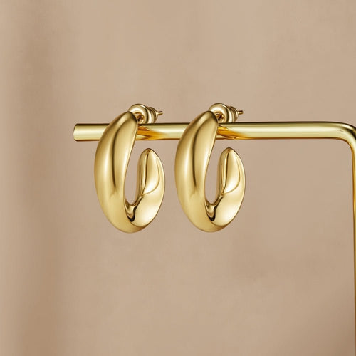 Twisted Sarah Hoop Earrings