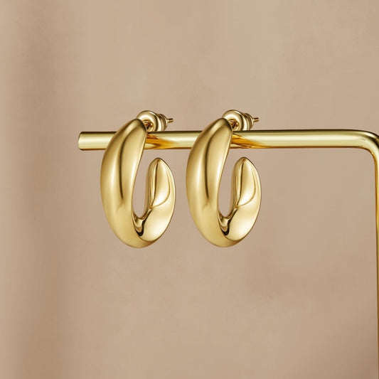 Twisted Sarah Hoop Earrings