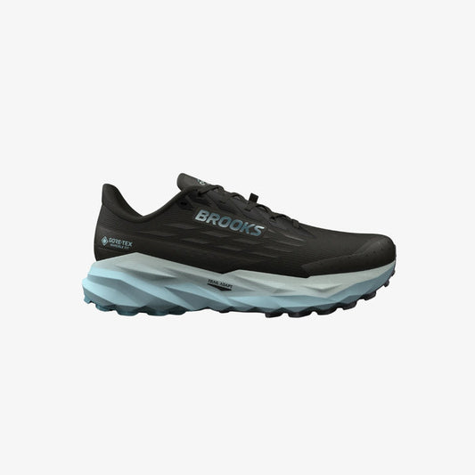 Women's Cascadia 19 GTX